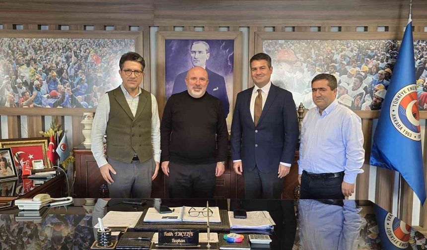 'Enerji üretimi, istihdam ve kamu yararı birlikte düşünülmeli'