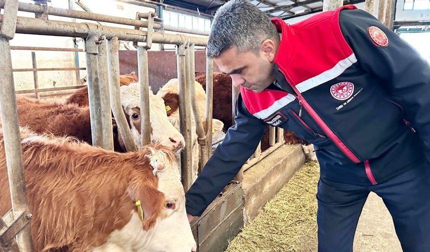 Erzurum'da 2025 yılında üreticiye güçlü destek