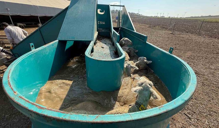 İnegöl Belediyesi'nden tarıma ve üreticiye tam destek