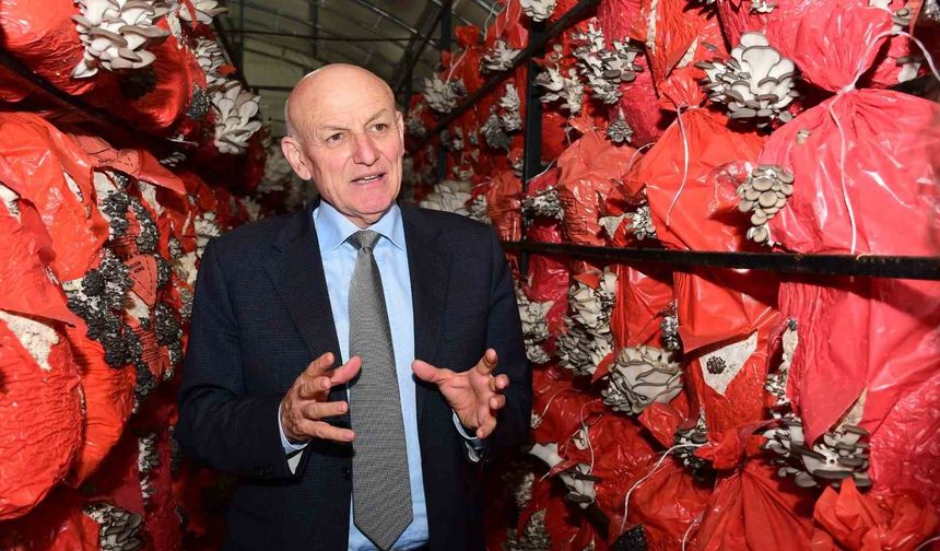 Başkan Kul: 'Üreten kadınların yanında olmaya devam edeceğiz'