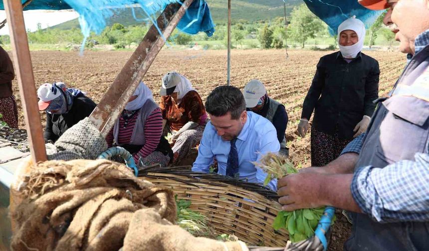 Başkan Tatık'tan tütün firmalarına 'Alım takvimi açıklayın' çağrısı