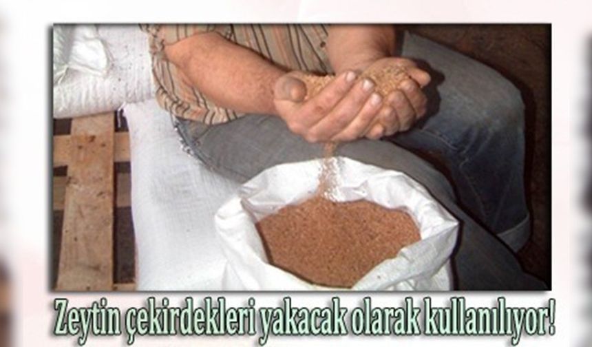 Burhaniye'de zeytin çekirdekleri Yunanistan'a ihraç ediliyor