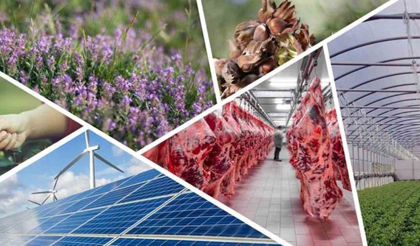 Denizli'de tarımsal kalkınmaya 82 milyonluk hibe desteği