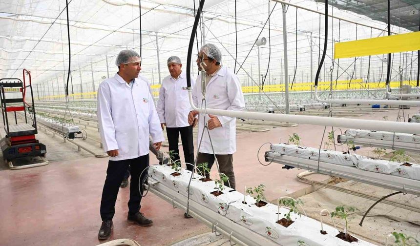 Denizli'nin 2025 bitkisel üretim tablosu yüz güldürdü