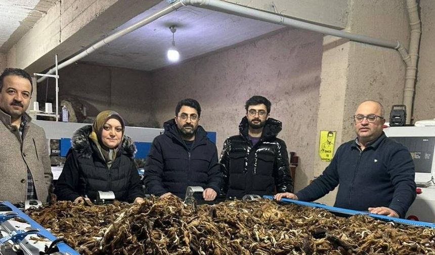 Erzurum'da atık yünler yeşil dönüşümle değer kazanıyor
