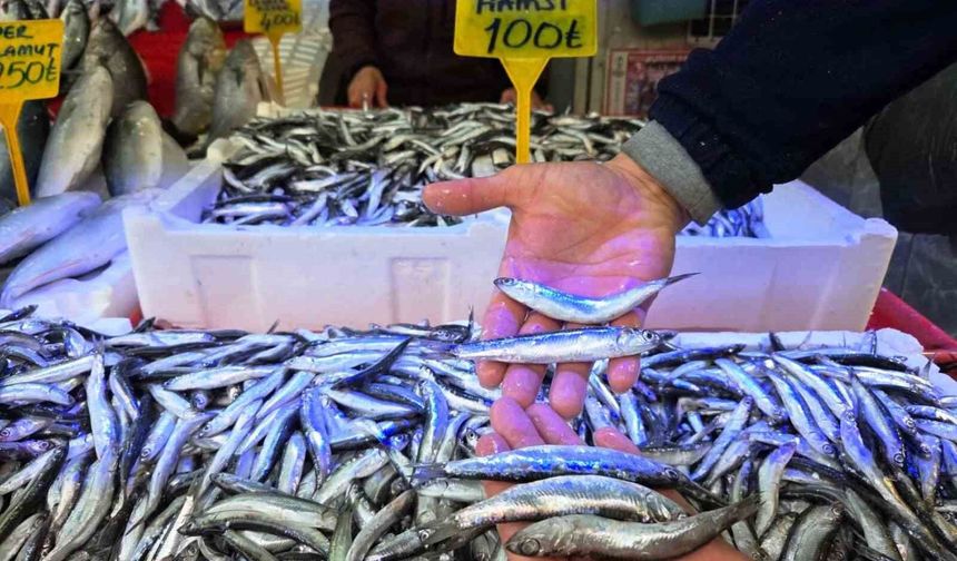 Karadeniz'de hamside Ramazan bereketi tezgahlara yansıdı