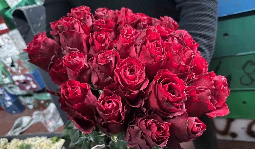 Kırmızı gülü yağış vurdu: Kenya ve Uganda gülleri revaçta