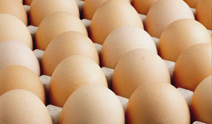 Kişi başına düşen yumurta üretimi 15 adet azaldı