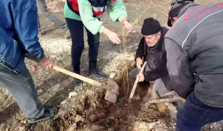 Kütahya'da 'Tuz Çalısı Projesi' hayata geçirildi