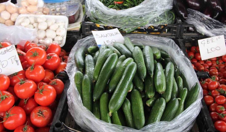 Seralar zarar gördü, Muğla'da salatalık rekor fiyata ulaştı