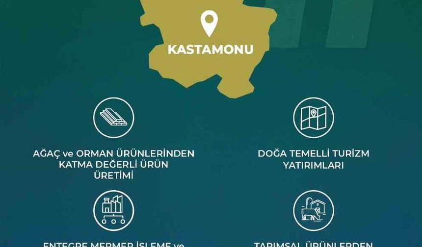 Yerel Kalkınma Hamlesi Teşvik Programıyla 3 ilin yerel potansiyeli ortaya çıkartılacak