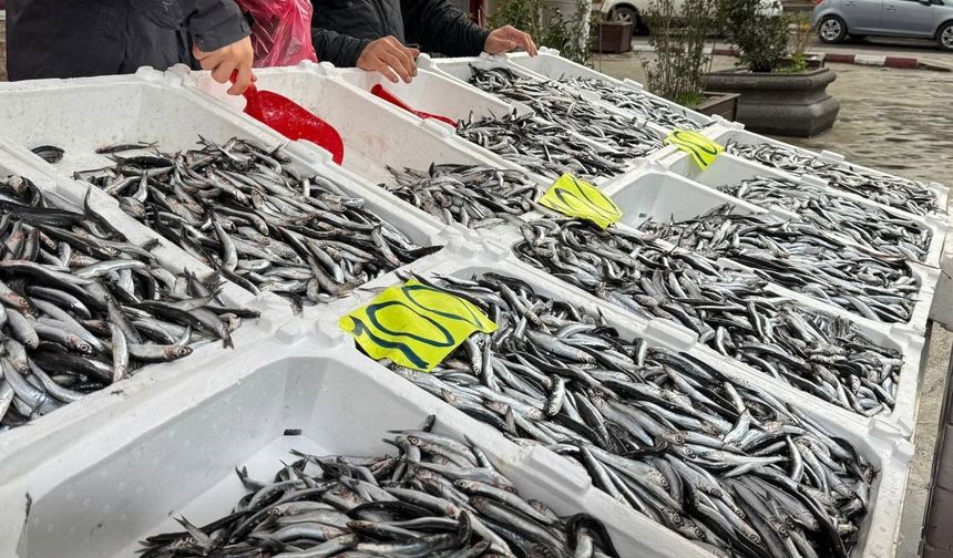 Zonguldak'ta Sevgililer Günü'ne özel hamsi kampanyası: Kilosunu 100 liradan sattılar
