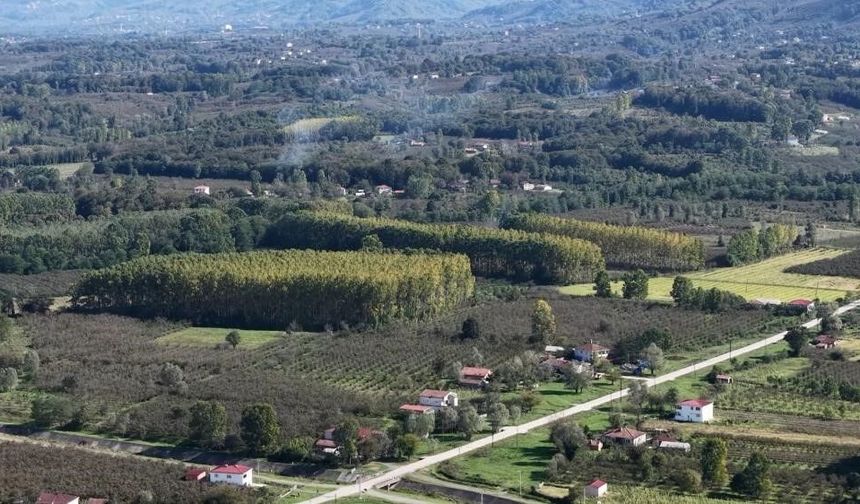 Çarşamba Ovası meyvede zirvede