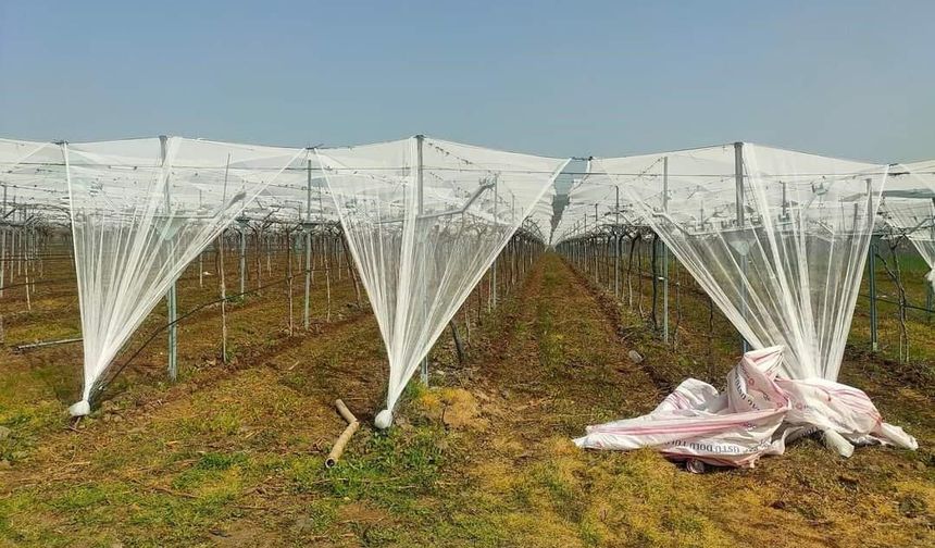 Dolu korkusuna fileli önlem