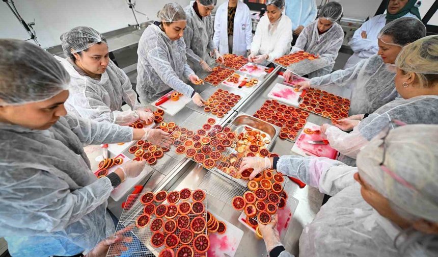 Mersin'de kan portakalı kadınların elinde değer kazanıyor