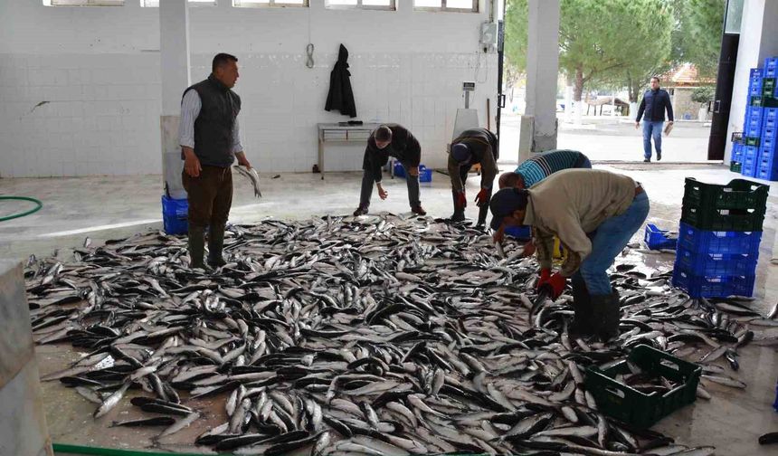 Muğla Şubat ayında 102 milyon dolar ihracat gerçekleştirdi