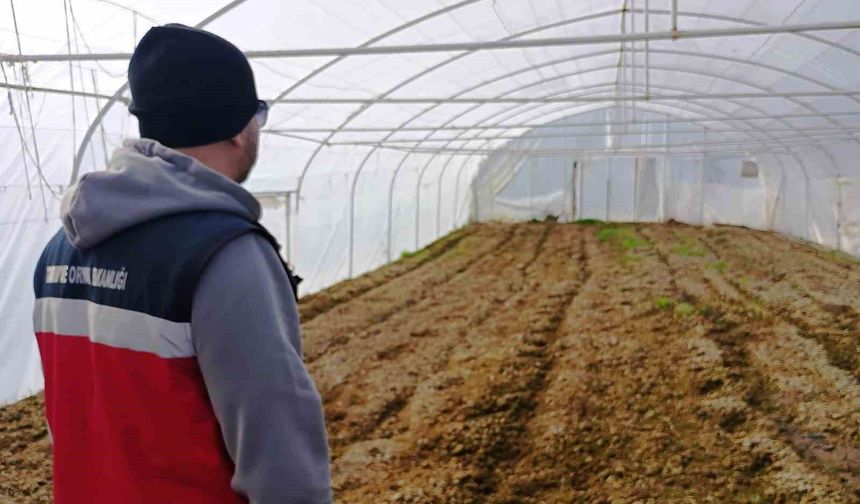 Tavşanlı'da KOBÜKS kapsamında sera kontrolleri