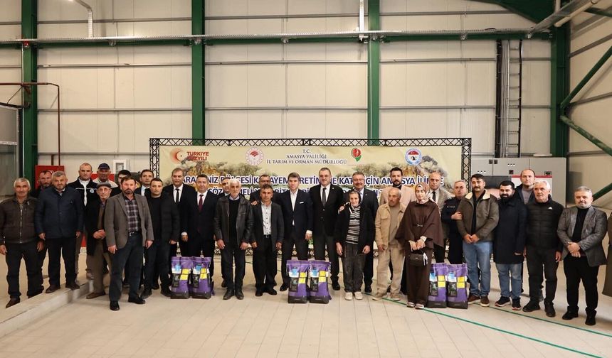 Amasya'da çiftçilere 16 bin kilo yonca tohumu desteği