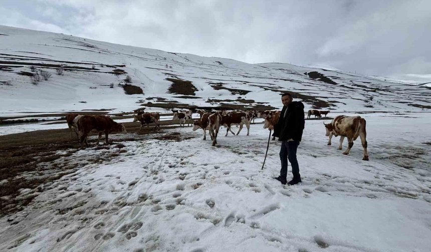 Ardahan'da kış mevsiminin uzaması hayvancılığı vurdu