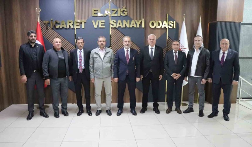 Başkan Alan Karakoçan'ın sorunlarını Vali Hatipoğlu'na iletti