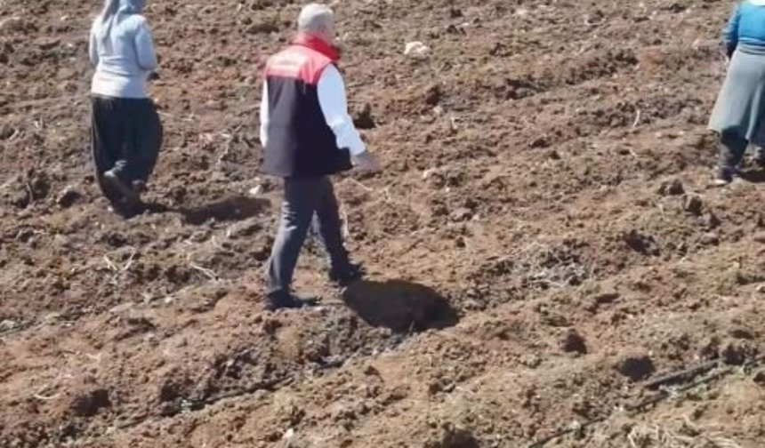 Elazığ'da domates üretiminde yeni sezon başladı