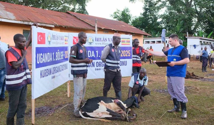 İhlas Vakfı vekaleten kurban hisse bedellerini açıkladı