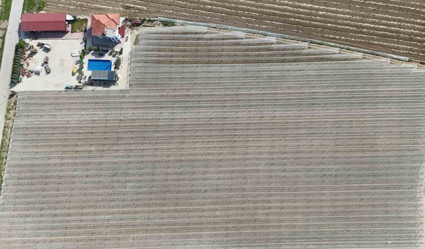 Kadın girişimciden tarımda akılcı çözüm