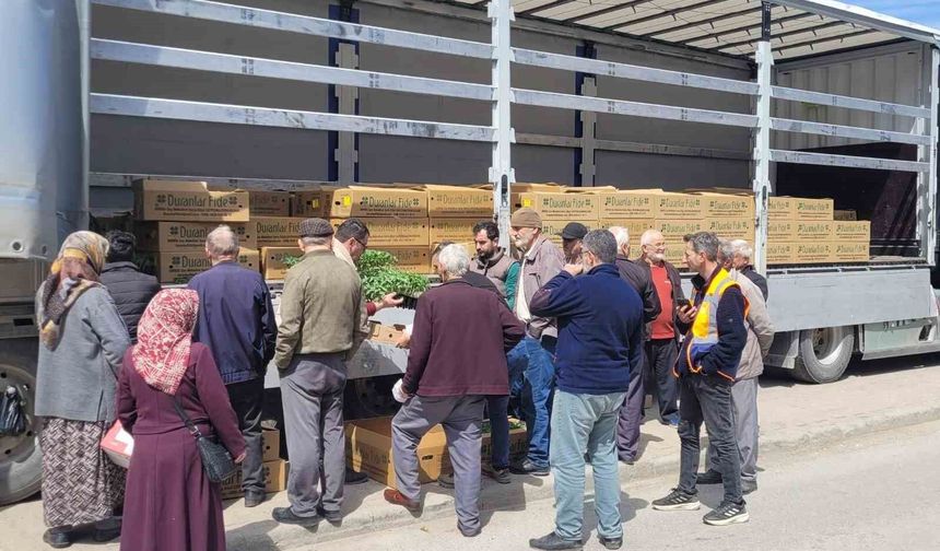 Kastamonu'da çiftçilere 147 bin adet sebze fidesi dağıtıldı