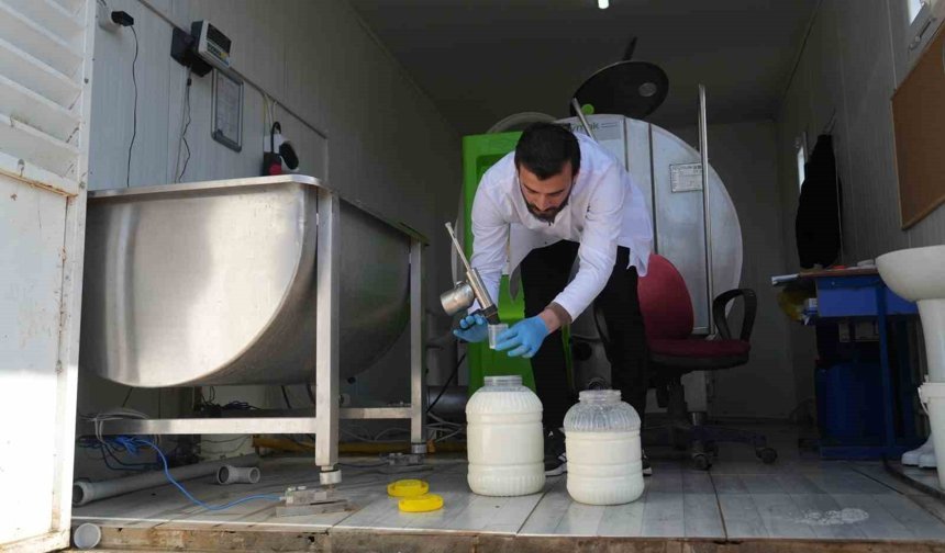 Muş'ta çiğ süt soğuk zincir projesi hayata geçti