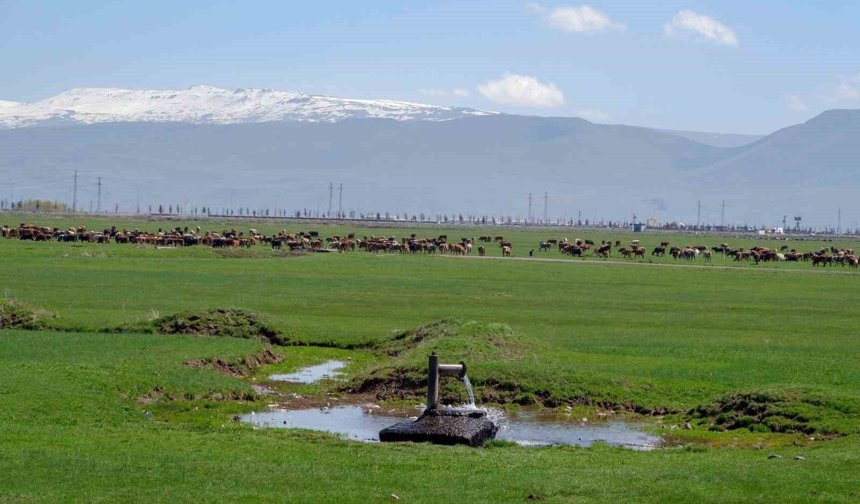 Tarımda önder üretici modeli vurgusu
