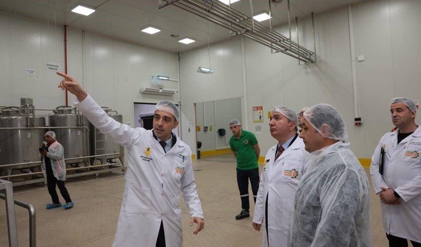 Türkiye'nin dört bir yanından gelen ballar Erzincan'da işleniyor