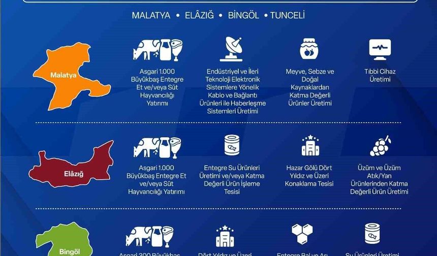 Yerel Kalkınma Hamlesi ile yatırımcılara 301 Milyon TL'ye kadar destek