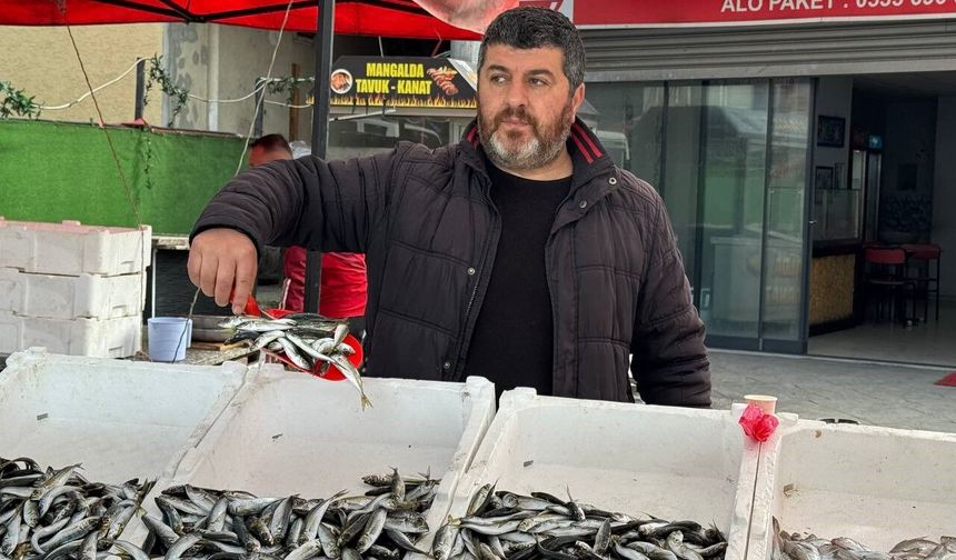 Zonguldak'ta tezgahlarda istavrit bolluğu: Kilosu 100 liradan satılıyor