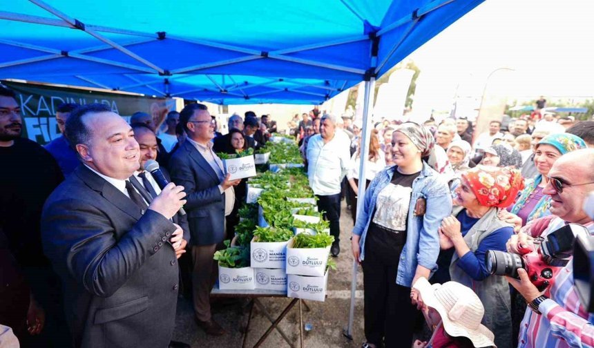 Alaşehir'de 10 bin üreticiye 300 bin yerli fide desteği