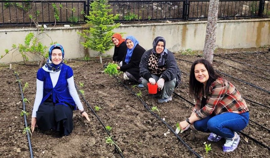 Altıntaş'ta öğretmenler domates fidelerini toprakla buluşturdu