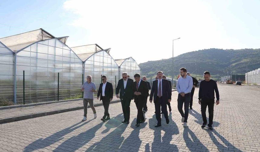 Bafra'da üretim ve kamu yatırımları yerinde incelendi