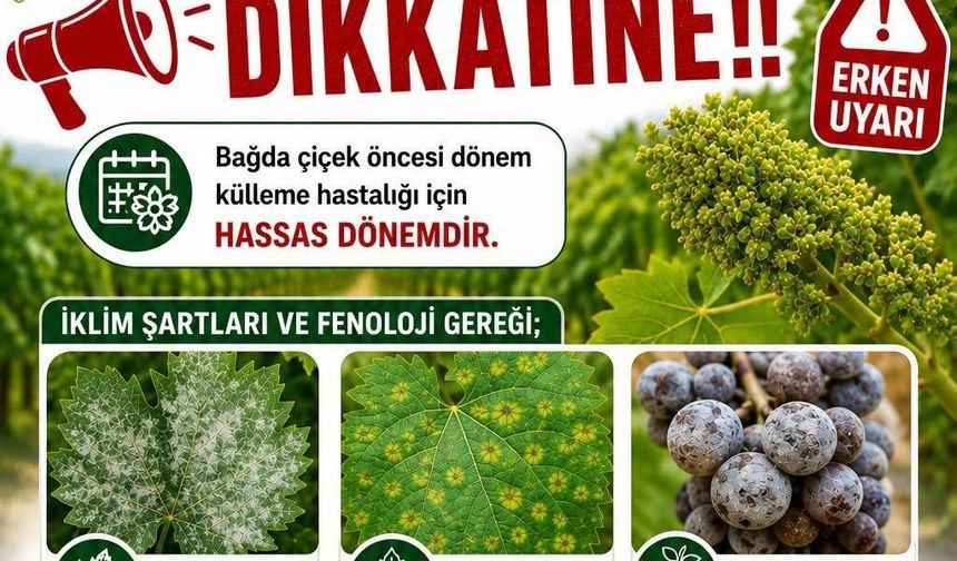 Bağlarda üreticilere ilaçlama uyarısı