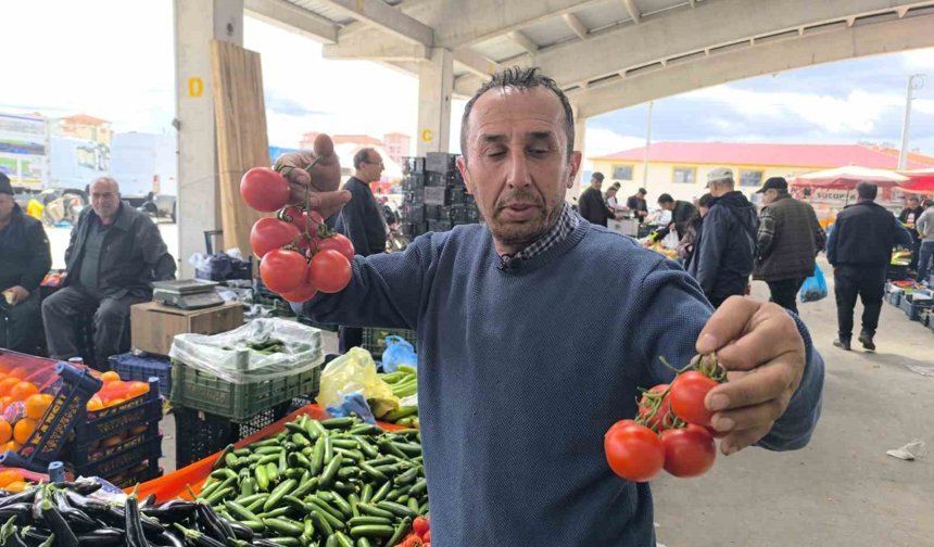Domates fiyatlarının yüksek olmasının sebebi soğuk hava