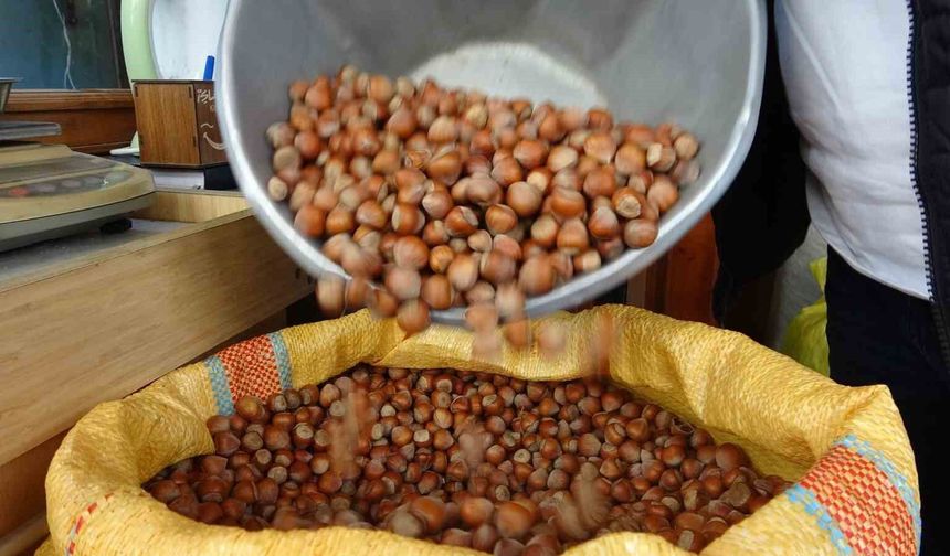 Düzce'den AB ülkelerine 4 bin 452 ton fındık ihraç edildi