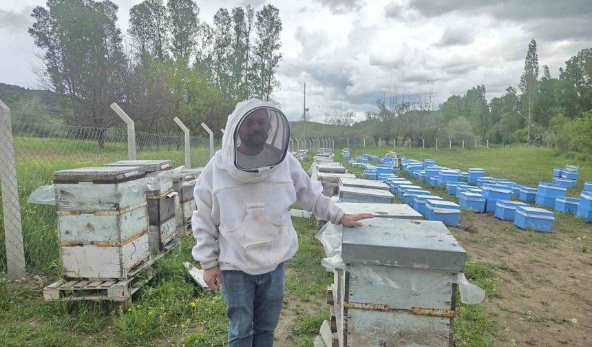 Hobi olarak 5 kovanla başladı, zamanla 250 kovana çıkardı