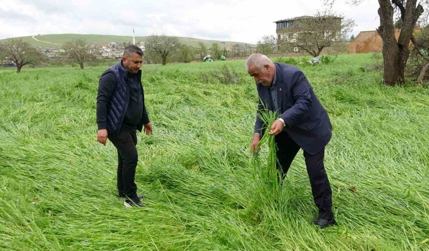 Hububatı 'süper hücre' vurdu