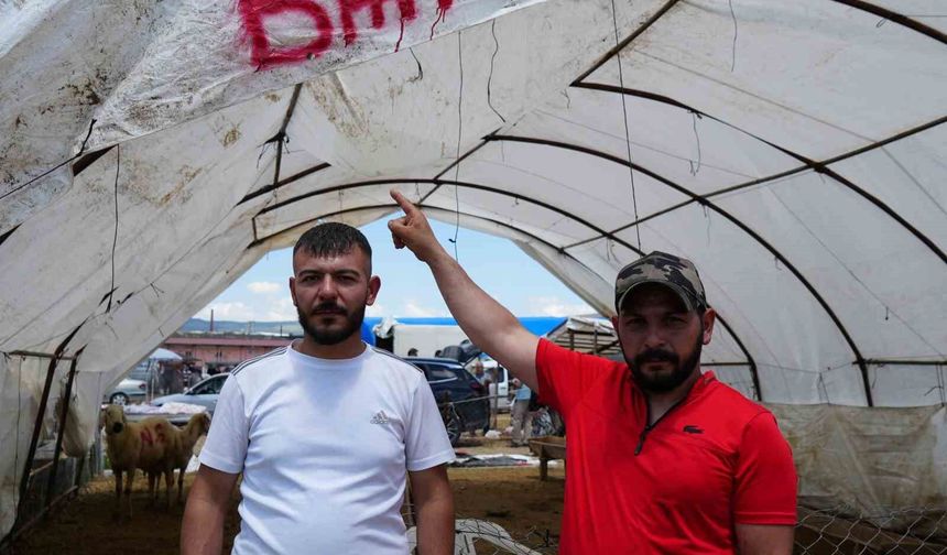 Kurbanlıklar alıcı buldu, yetiştirici bayrama mutlu girdi: 'Dedikleri fiyata verdik, milleti kurbansız göndermedik'
