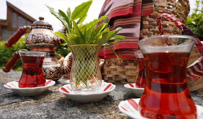 Rize'de Dünya Çay Günü etkinliği