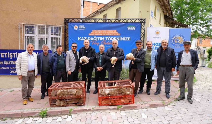 Samsun'da üreticiye yüzde 50 hibeli kaz palazı desteği