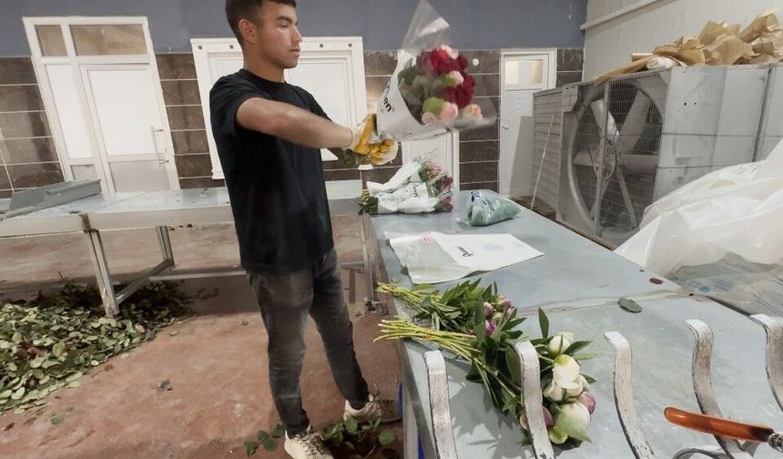 Tanesi toptancıya 150 TL'den satılıyor, Türkiye'nin 81 iline gönderiliyor