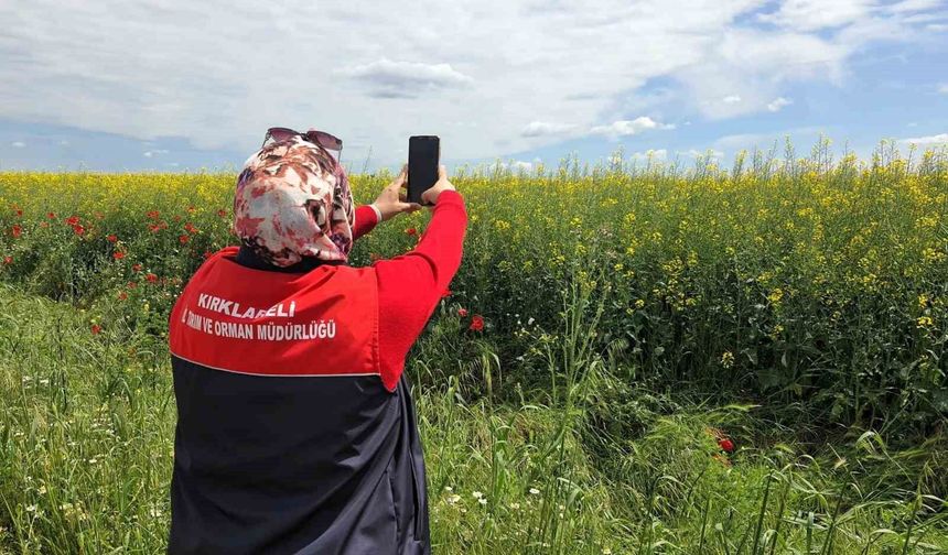 Tarlalarda dijital tarım çalışmaları