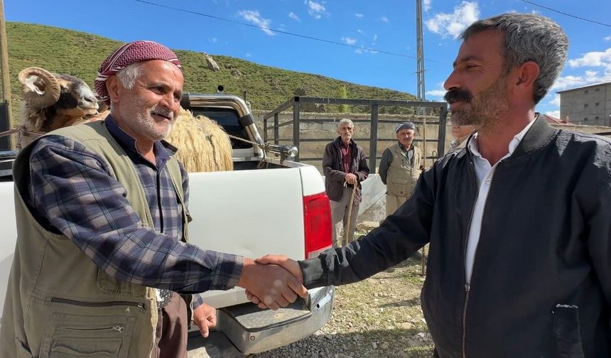 Yüksekova'da hayvan pazarında bayram hareketliliği