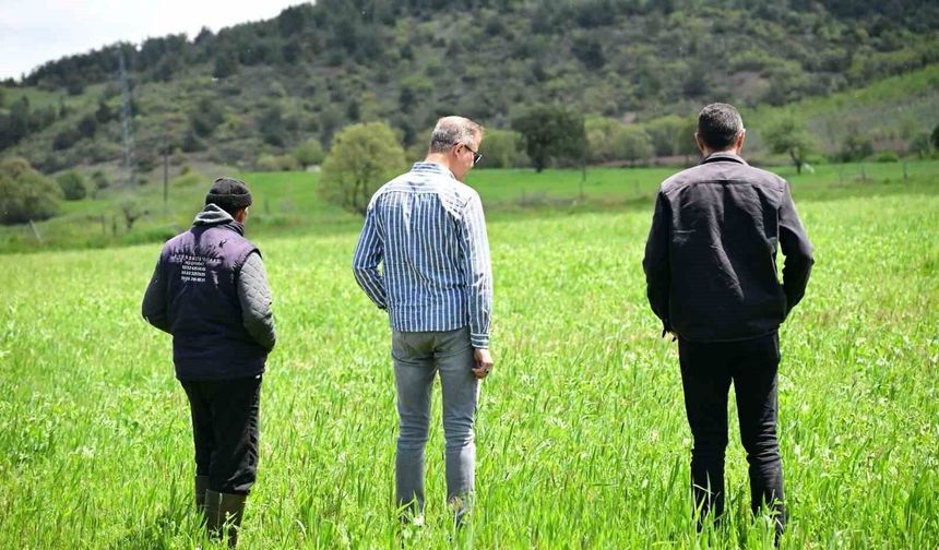 Manisa Büyükşehir'in toprakla buluşan tohumları yeşerdi