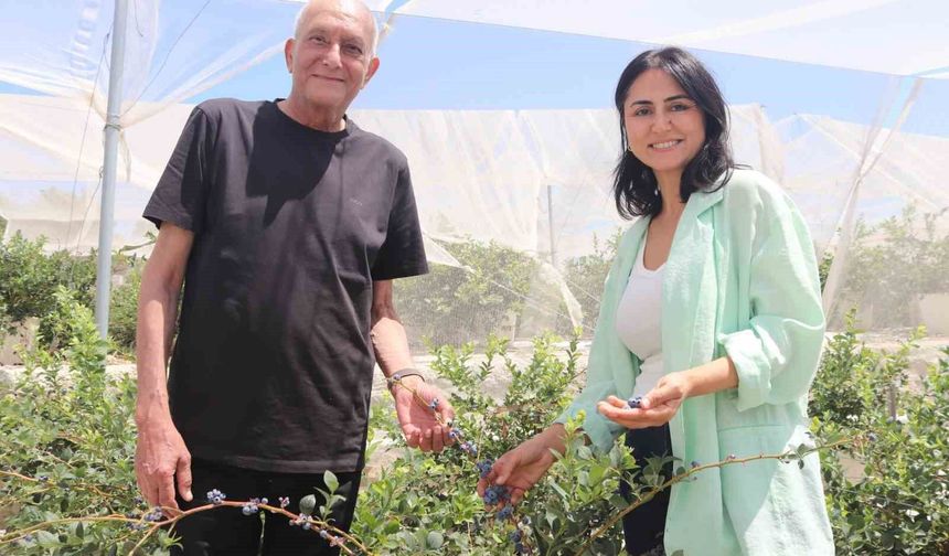Şehir hayatından yorulan çift, topraksız tarım üreticisi oldu