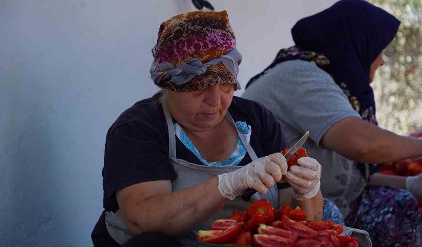 Ayvalık'ta güneş ile lezzet buluşuyor